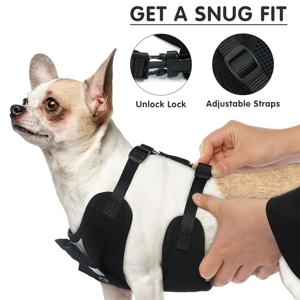 Qpets Dog Vest Harness Set with 1.5m Leash featuring 360° Swivel Buckle and Dacron Fabric
