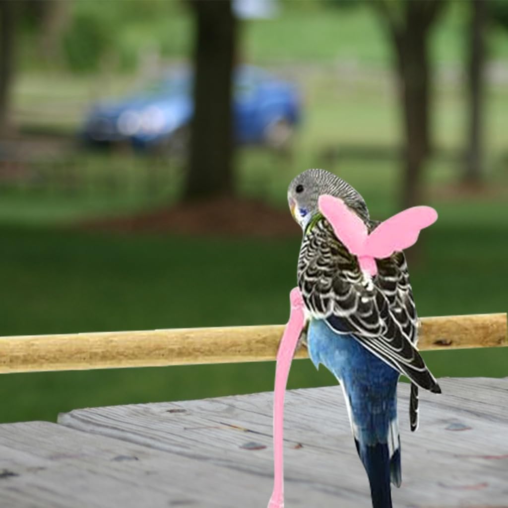 Qpets Pet Parrot Harness for Outdoor Flying with 2 m Elastic Leash and Quick Release Strap | Lightweight Adjustable Design