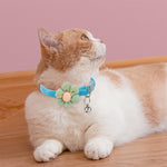 Qpets Cat Collar with Bell featuring Quick Release Buckle and Adjustable 19–32cm Fit | Soft Blue Plush with Crochet Flower