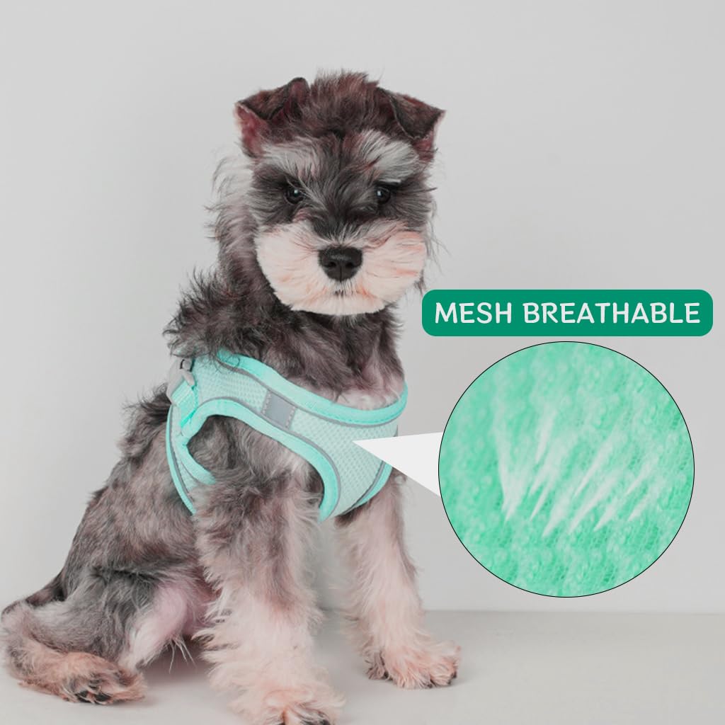 Qpets® Small Dog Harness, 4.9Ft Dog Leash Breathable Mesh Pet Harness Small Dog Vest Harness with Safe Reflective Strips No Pull Small Dog Harness (Neck: 36-42CM)