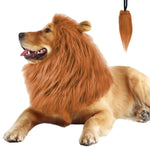 Qpets Lion Costume Set for Dogs with Adjustable Mane and Tail | Ideal for Halloween Parties