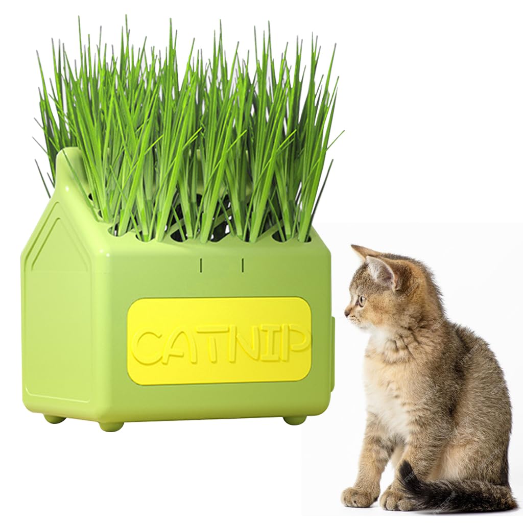 Qpets Cat Grass Planting Box for Fresh Catnip with Cartoon Milk Box Design 12x9x12cm Plastic Pot | Fun Home Décor for Cats
