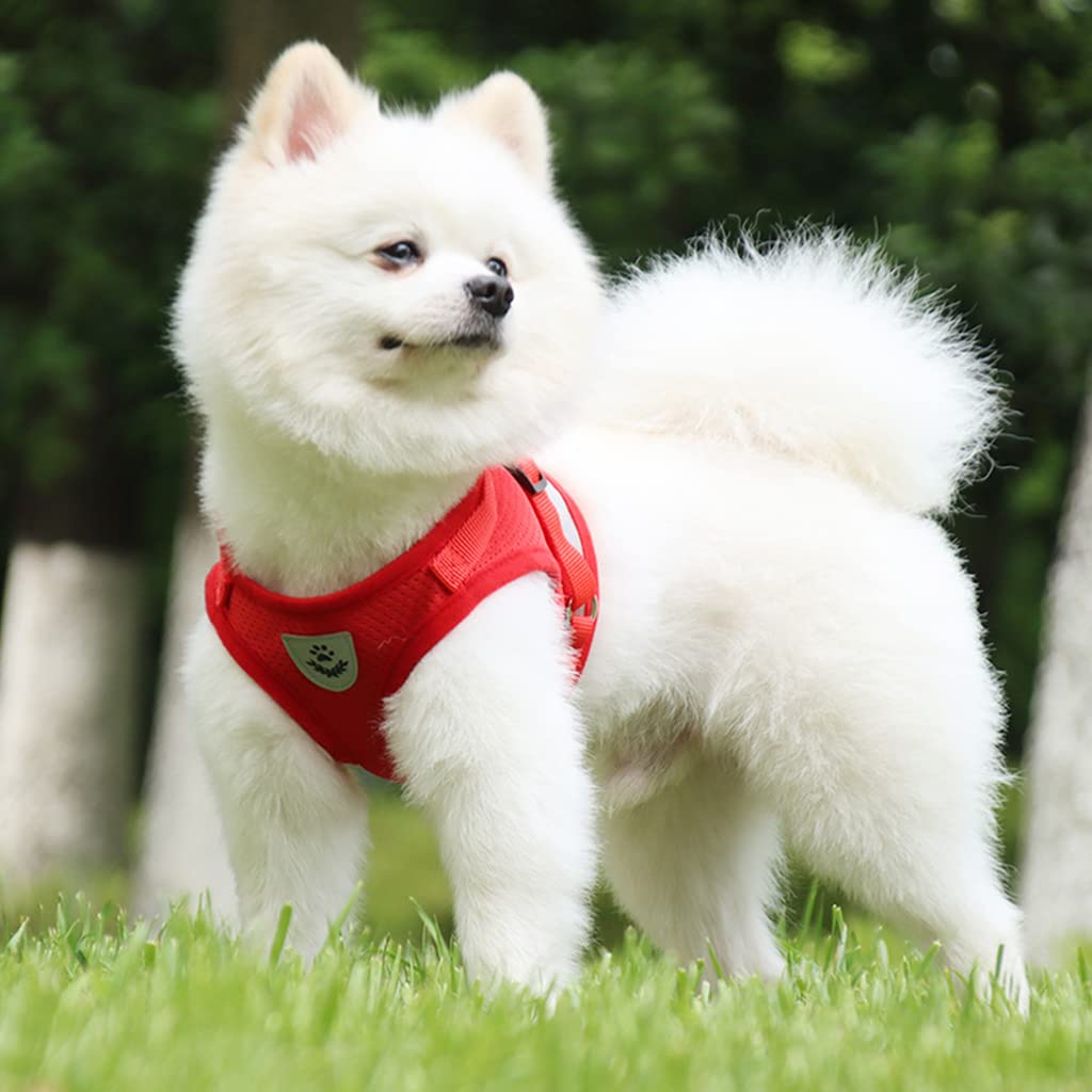 Qpets Dog Harness for Large Dogs with Reflective Safety Strips and 1.2m Leash | Breathable Mesh Vest