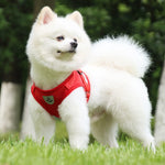 Qpets Dog Harness for Large Dogs with Reflective Safety Strips and 1.2m Leash | Breathable Mesh Vest