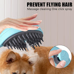 Qpets® Cat Steam Brush Dog Steam Hair Brush