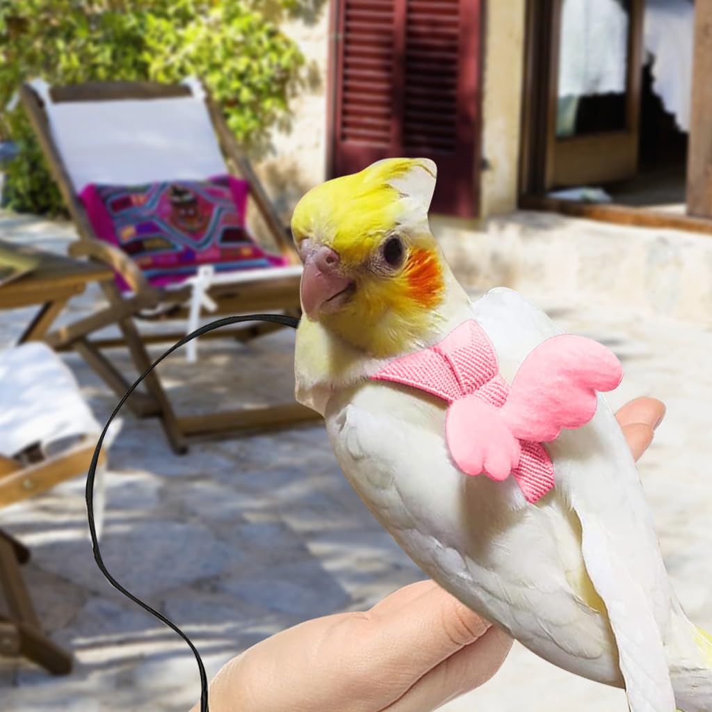 Pet Parrot Harness Bird Harness and Elastic String Mini Lightweight Outdoor Harness for Pet Birds, Parrot Adjustable Belt for Bird Quick Release Strap Design Pet Parrot Supplies