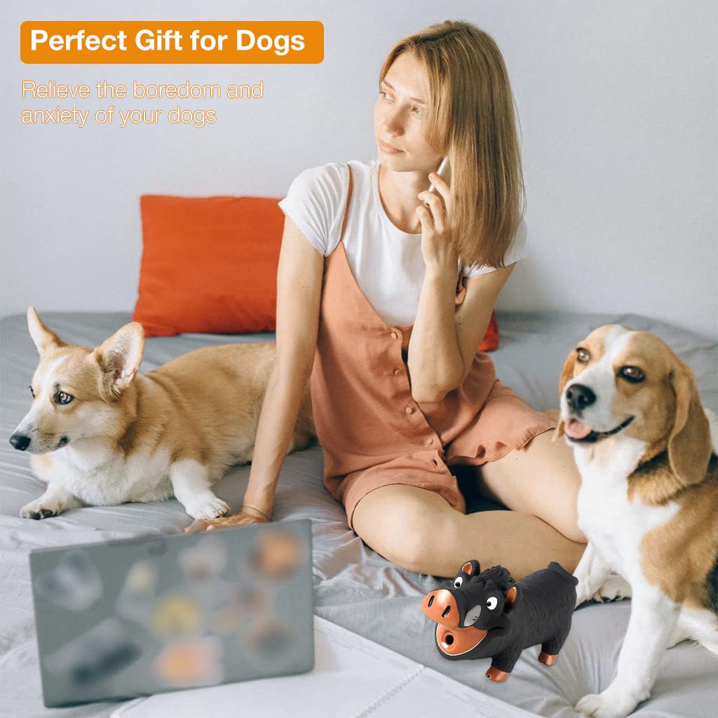 Qpets Squeaky Dog Toy for Interactive Play featuring Grunting Pig Sound and Soft Latex | Fun Fetch Training for Small and Medium Dogs