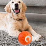 Qpets Small Dog Ball for Indoor and Outdoor Play with 60 Minute Charge and Vibrant Lights | Non Toxic Rubber Toy Relieves Anxiety
