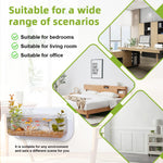 Qpets Wall Mounted Hydroponic Planter for Indoor Decor with No Drill Detachable Design 25x14.5x9cm Clear Acrylic | Home Wall Aquarium Display