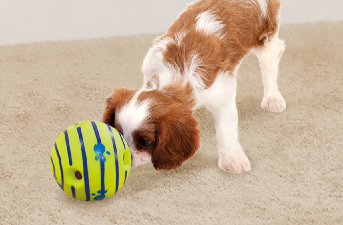 Qpets Dog Toy Ball for Interactive Play featuring 14cm Size and 3 Sound Tubes | Eco PVC Chew Toy for Medium and Large Dogs