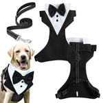 Dog Tuxedo Harness, Fashionable Dog Tuxedo Harness Set with Traction Rope and Chest Harness, Dog Vest Pet Suit Holiday Dress Puppy Kitten Wearing, M