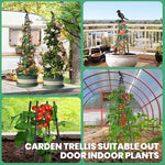 Qpets® 120CM Trellis for Climbing Plants - Plastic Climber Support for Plants - Adjustable Triangle Creeper Plant Support Plant Climbers Sticks Clematis,Roses,Ivy