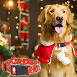 Qpets Christmas Dog Collar for Festive Dress Up with Quick Release Buckle and Metal D Ring | Adjustable 35–55 cm Red Polyester