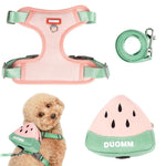 Qpets Dog Harness Vest for Small Breeds with 4 Way Adjustable Fit and Zipper Pouch | Breathable Mesh Comfort