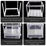 Qpets Fish Breeding Box for Betta with Suction Cups and Nylon Mesh 16x14x15CM | 3 PCS