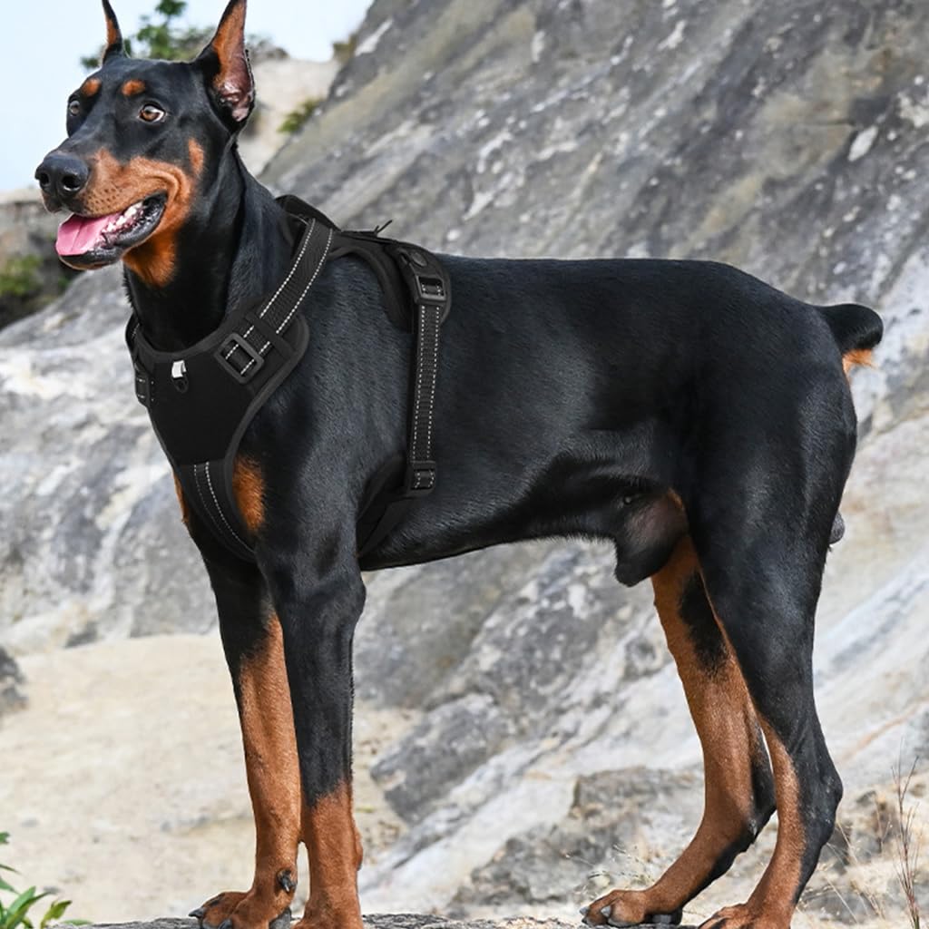 Qpets Adjustable Dog Harness for Walking with No Pull Design & Seat Belt Buckle | Reflective PU Mesh Vest L 18.1–24.8 in