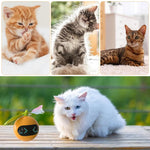 Qpets Smart Electric Cat Teaser Ball Toy with LED Light and Feather Tail for Indoor Cats