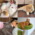 Qpets Mini Hands for Cats with 7 Unique Styles featuring Soft Elastic TPR Material | Fun Gift for Cat Owners