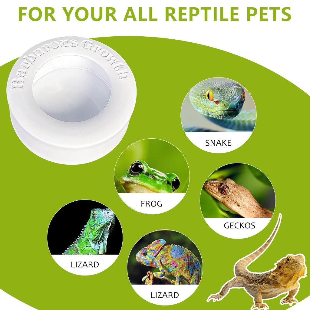 Qpets Reptile Feeding Bowl for Terrarium Feeding with Escape‑Proof Cap 6.7 cm Diameter | PP Material for Leopard Gecko and Bearded Dragon