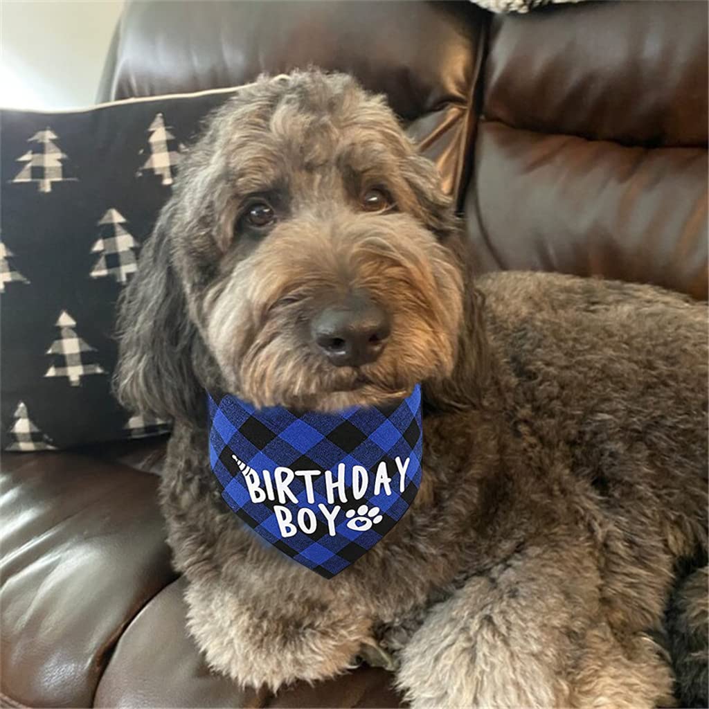Qpets Dog Birthday Party Hat Set with 40cm Bandana and Customizable Age Label | Blue