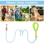 Qpets Dog Leash for Training and Walking with 360° Alloy Buckle & Soft Padded Grip | 6ft Nylon Green