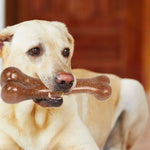 Squeaky Dog Toy Interactive Play, Pig Latex Chew Toys for Dogs Grunting Durable Rubber Soft Pet Toys Puppy Toys Funny Voice Decompression Fetch Training for Small Medium Dog