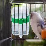 Qpets Bird Feeder for Cage with 220 ml Capacity and External Hanging Design | Transparent PVC Feeder for Parakeets and Finches