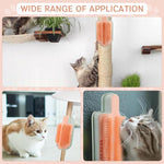Qpets Cat Brush for Grooming and Play with Feather Wand | Wall Mounted Self Groomer Set
