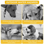 Qpets Dog Water Bottle for Travel with 380ml Capacity and Button Water Control | BPA Free