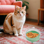 Qpets Cat Bowl for Cats and Dogs with 10° Tilted Stand & 13cm Diameter | PP Holder