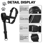 Qpets Dog Head Collar for Training Control with D-Ring and Quick Release Buckle | Adjustable Fit 30–60 cm with Soft Leather Liner for Small to Medium Dogs