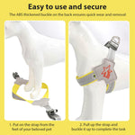 Qpets Dog Harness for Outdoor Walks with Double D Rings and Reflective Strip XL 62–72cm