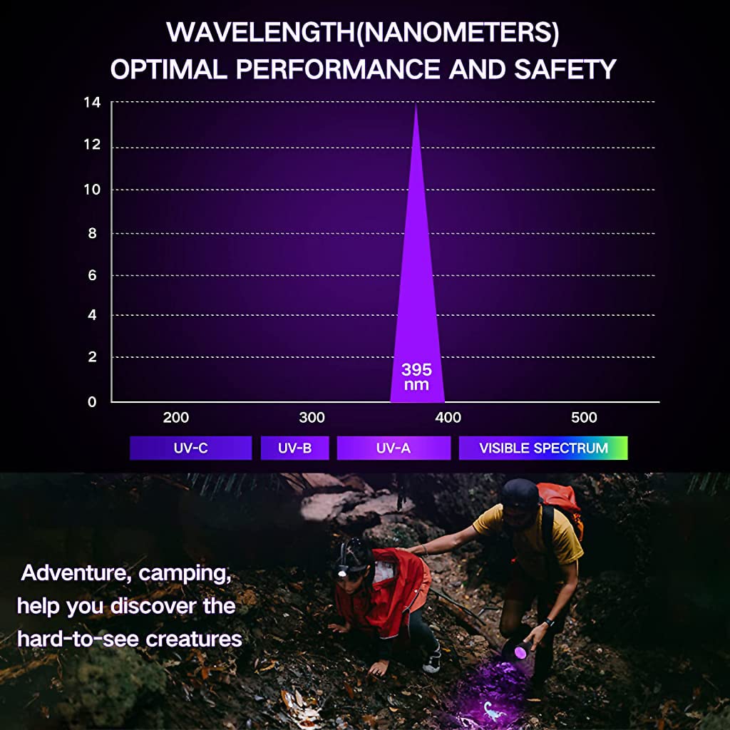 Qpets UV Light Torch for Pet Stain Detection with 21 LEDs 395nm Flashlight | 2PCS Set