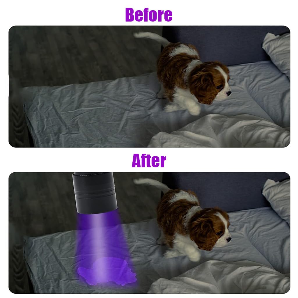 Qpets UV Light Torch for Pet Stain and Leak Detection with 12 LEDs and Aluminum Alloy Body