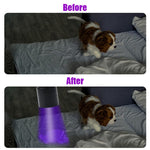 Qpets UV Light Torch for Pet Stain and Leak Detection with 12 LEDs and Aluminum Alloy Body