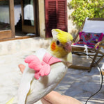 Qpets® Pet Parrot Harness Bird Harness and Elastic String Mini Lightweight Outdoor Harness for Pet Birds, Parrot Adjustable Belt for Bird Quick Release Strap Design Pet Parrot Supplies, M