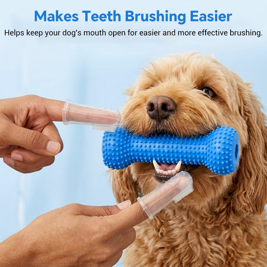 Qpets Dog Dental Chew Prop for Small and Medium Dogs, TPR Aid for Guided Brushing