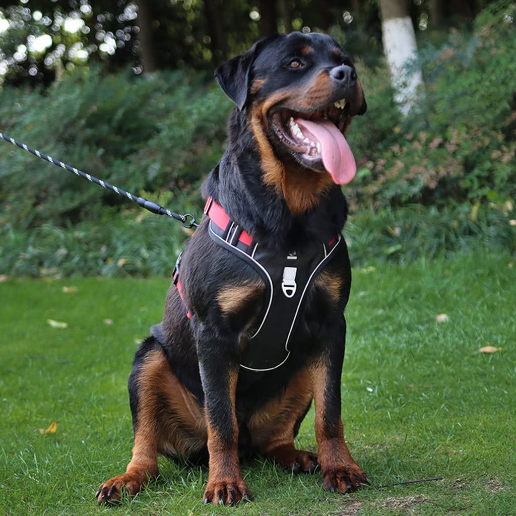 Qpets Dog Harness for Outdoor Control with 4 Adjustable Straps and Reflective Strips | Oxford Cloth Red L for 14–22.5 kg Dogs