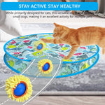 Qpets Cat Ball Toy for Active Play with 27.5 Inch Folding Tent and USB Rechargeable Design