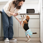 Qpets Dog Diapers for Female Pets with Soft Double‑Sided Fabric and 160ml Absorbency | 3pcs