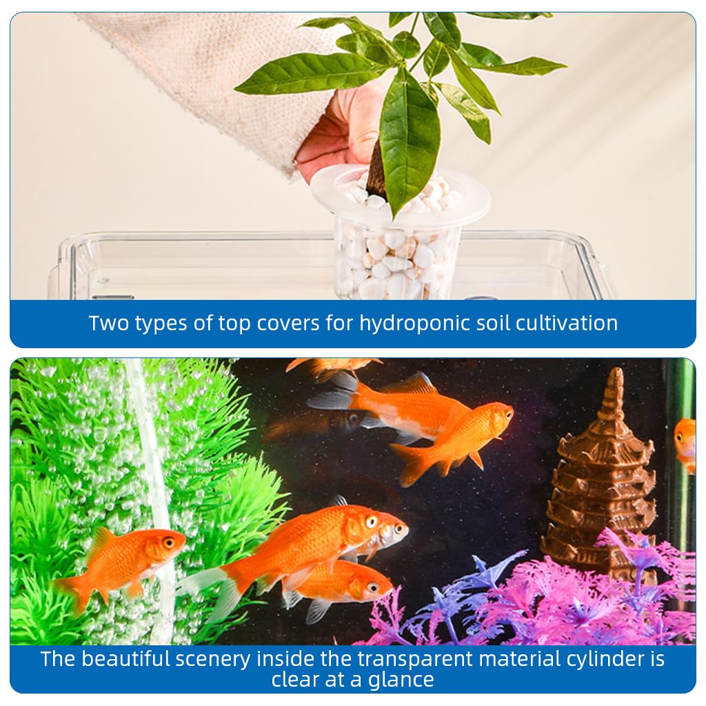 Qpets Desk Small Fish Tank for Home Office with 35x24cm Design and Air Ventilation Lid | Clear PP Betta Aquarium featuring Built in Hydroponic Basket