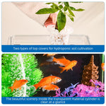 Qpets Desk Small Fish Tank for Home Office with 35x24cm Design and Air Ventilation Lid | Clear PP Betta Aquarium featuring Built in Hydroponic Basket