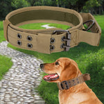 Qpets Dog Collar for Large Breeds featuring Control Handle & Metal D Ring | Reflective Nylon 75 cm