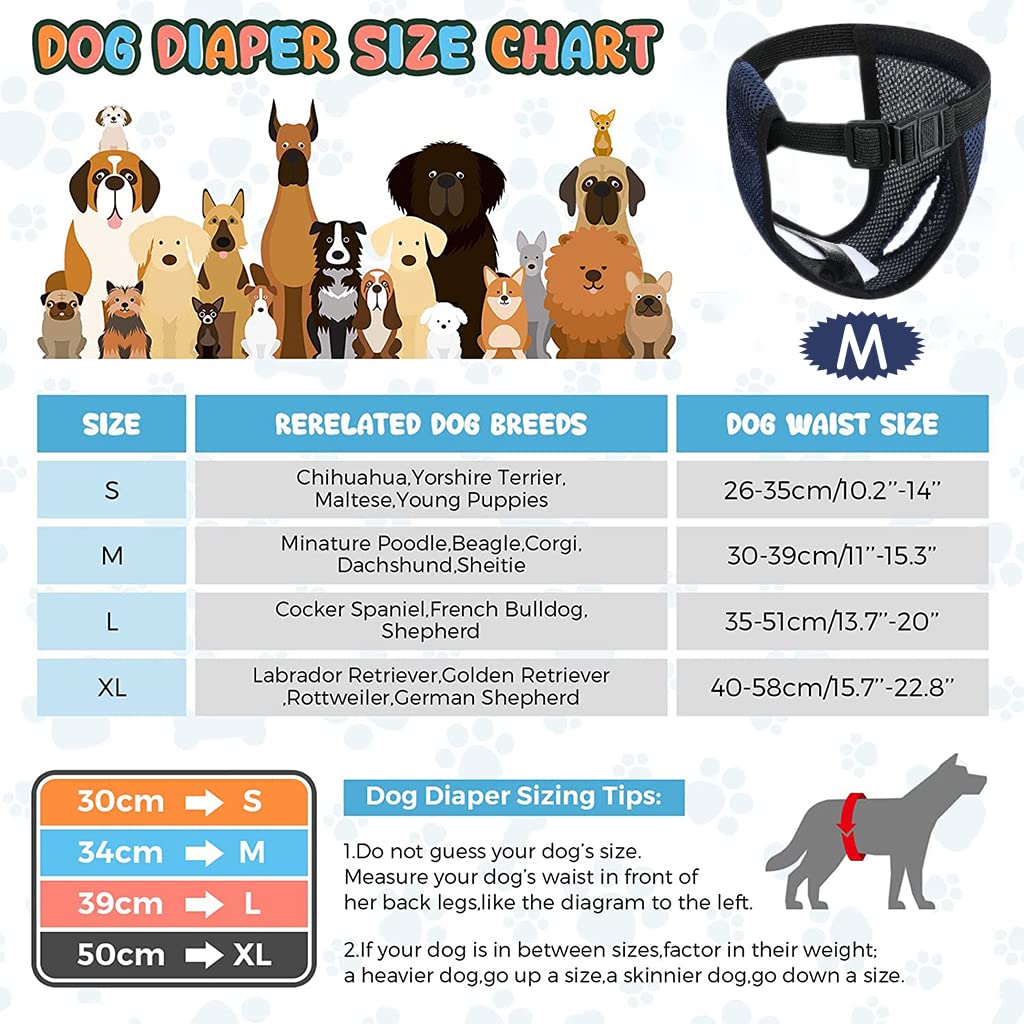 Qpets® Breathable Reusable Female Dog Diapers Combo (M & XL, 3 Absorbent Cotton Pads) for Puppies and Adult Dogs, Comfort Fit, Washable, Leak-Proof, Ideal for Home, Travel, Training