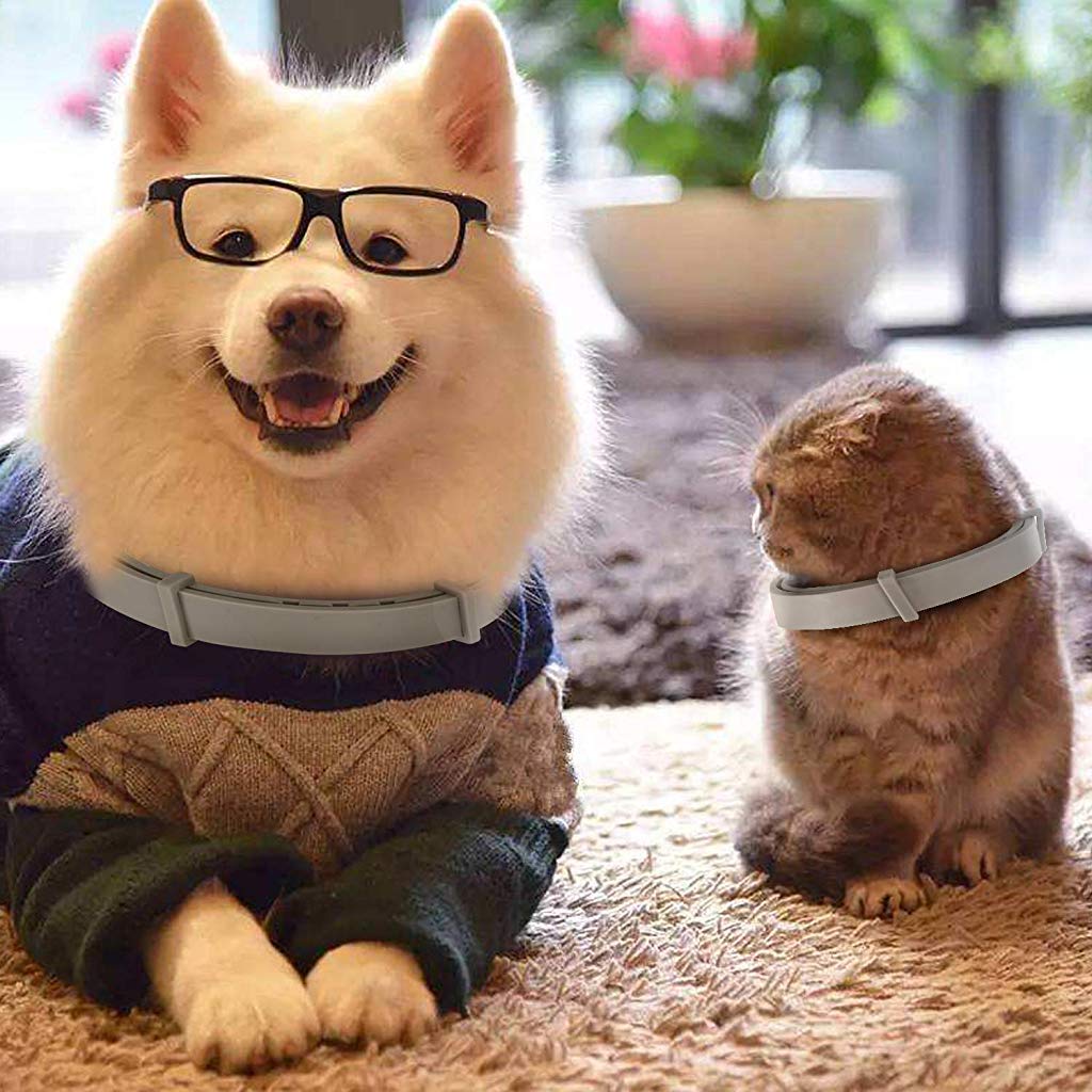 Qpets Flea and Tick Collar for Dogs and Cats with 8 Month Protection and 25 in Adjustable Strap