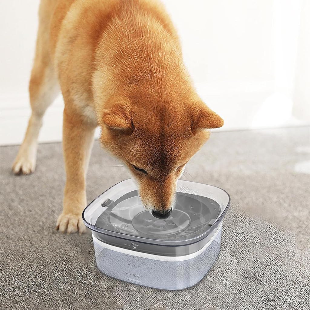 Qpets Dog Water Bowl 2L for Clean Hydration with Floating Disk Design and PP Material