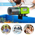 Qpets Automatic Fish Feeder for Aquarium with 200ml Timer Control and 360° Rotating Base