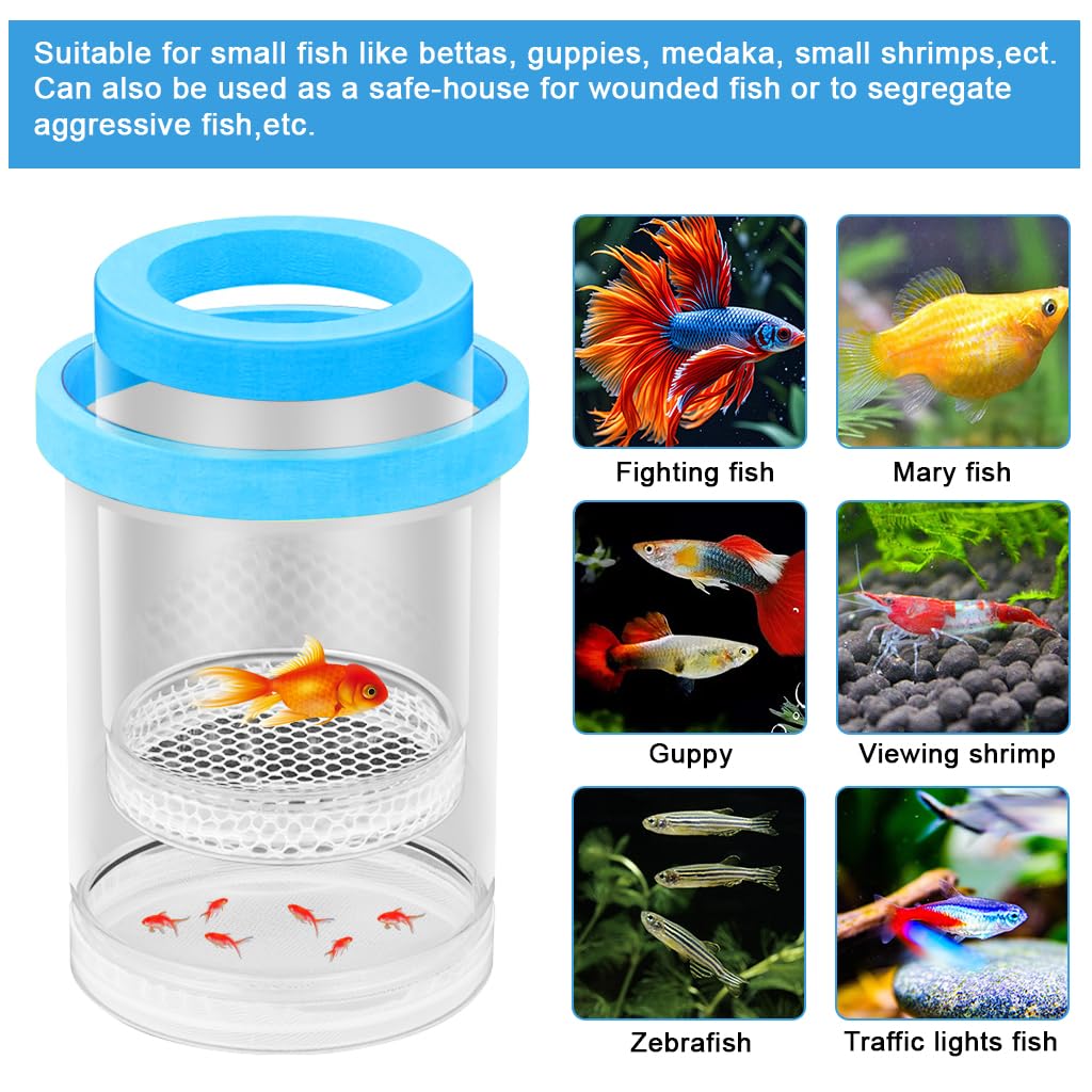 Qpets Floating Breeder Box for Fish Tank with 10cm Double Layer Design and Foam Collar | Clear Incubator for Fry Isolation