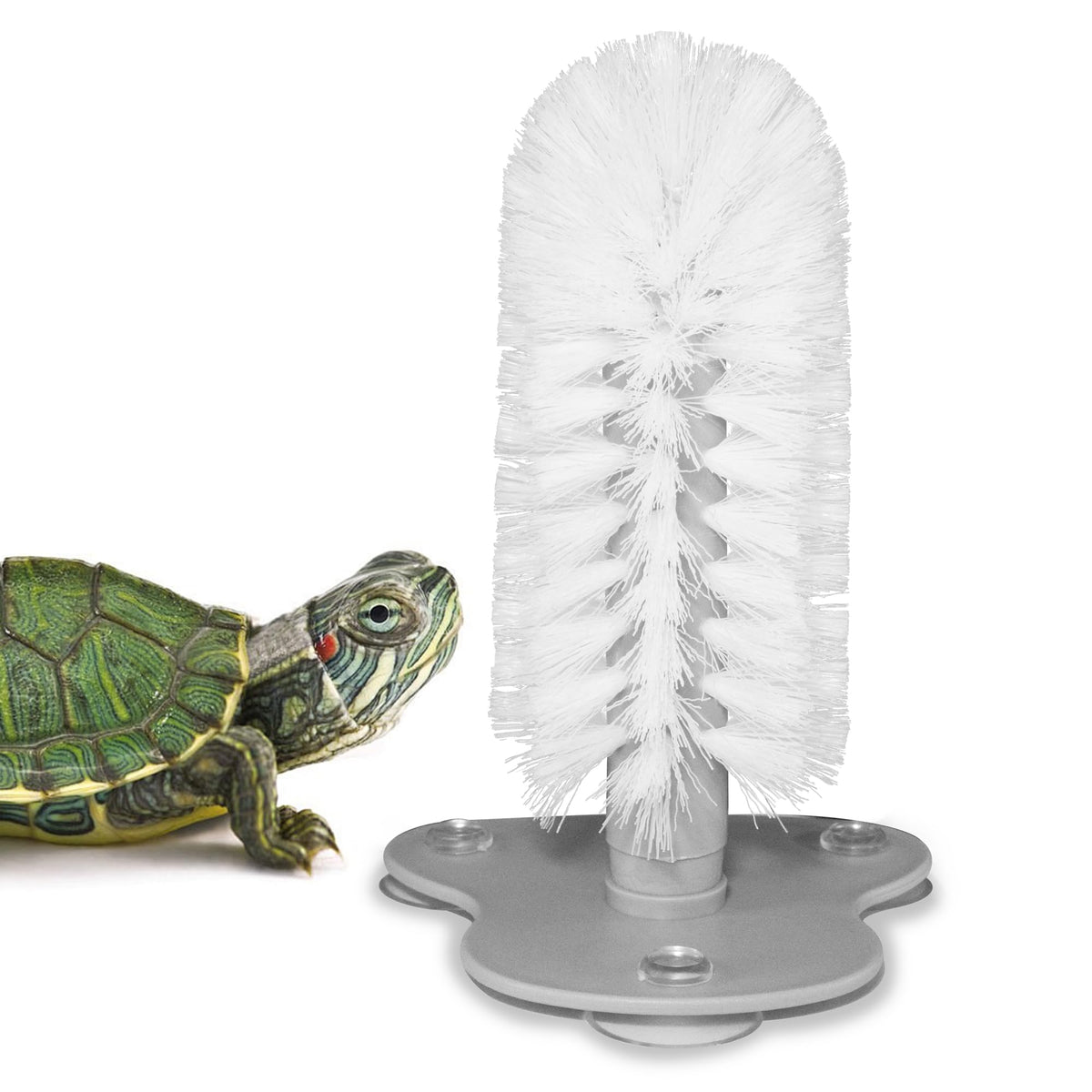 Qpets Turtles Brush for Tanks with Suction Cup and Soft Bristles featuring 7.48 in Length | Gentle Shell Cleaning Tool