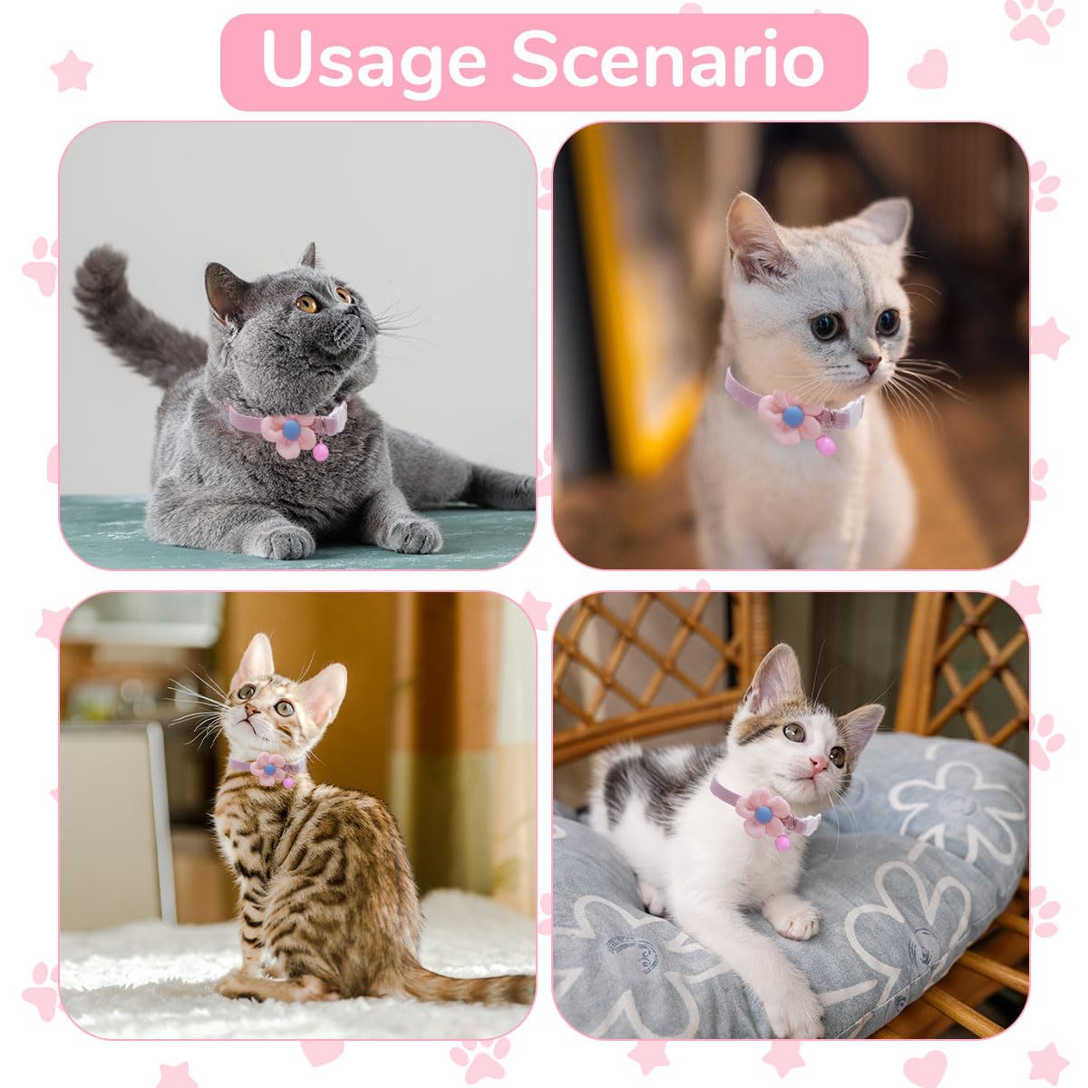 Qpets Cat Collar for Everyday Wear with Safety Buckle and Bell | Adjustable Pink Flower Design